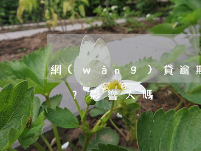 網(wǎng)貸逾期十幾家，還能申請嗎？影響大嗎？